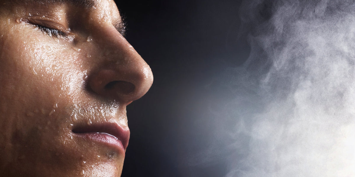 champion tobacco online Punch Clasico Champion Product image – Cigars Daily