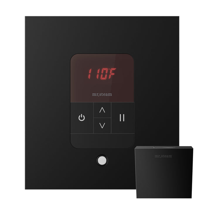 Mr.Steam Steam Shower Control & SteamHead | iTempo