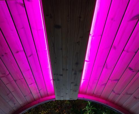 SaunaLife Cromoterapia Iluminación LED para sauna Wifi de 48" | EMood